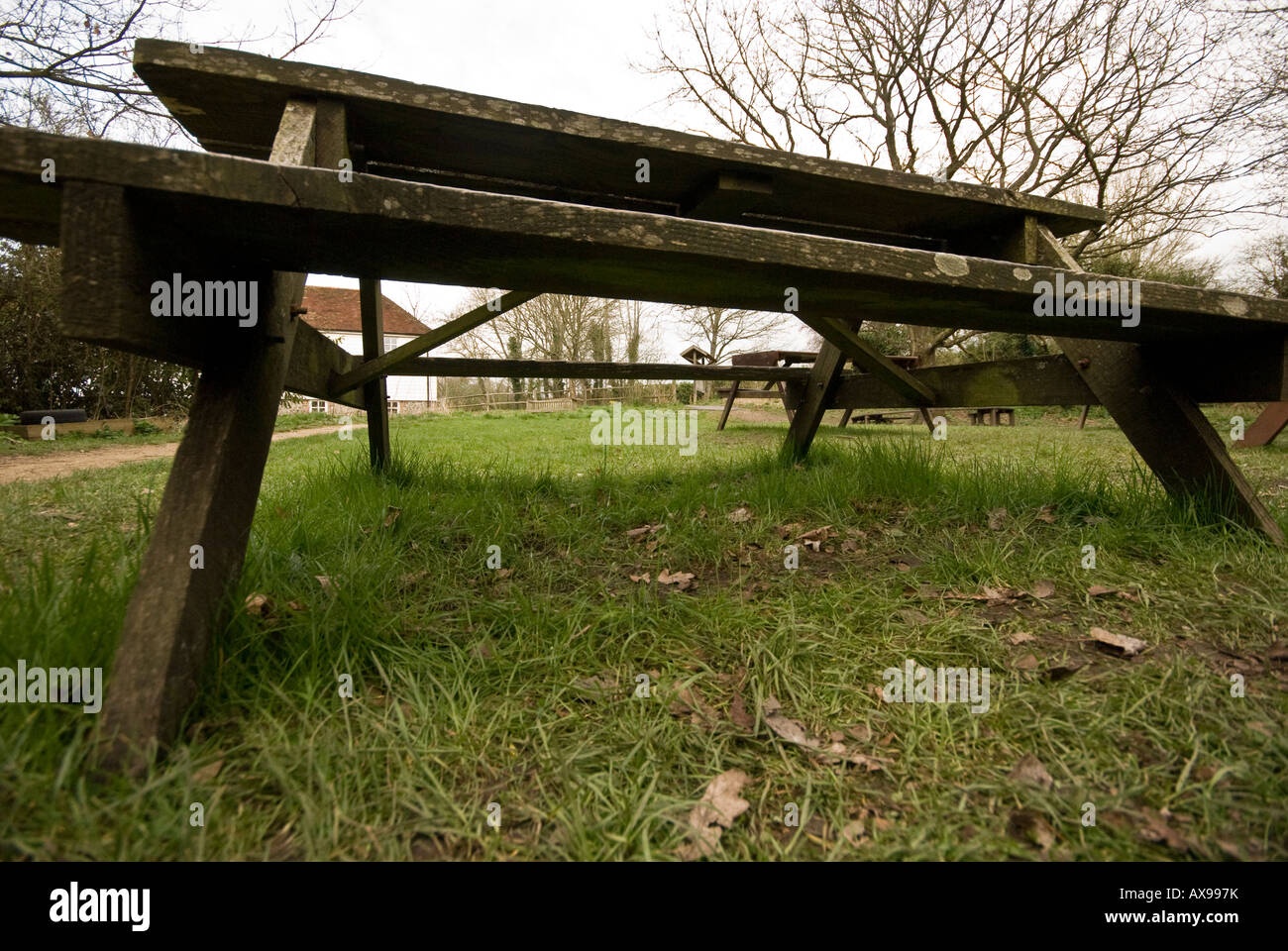 zeigen Sie unter hölzernen Picknick-Tisch an Stockfoto