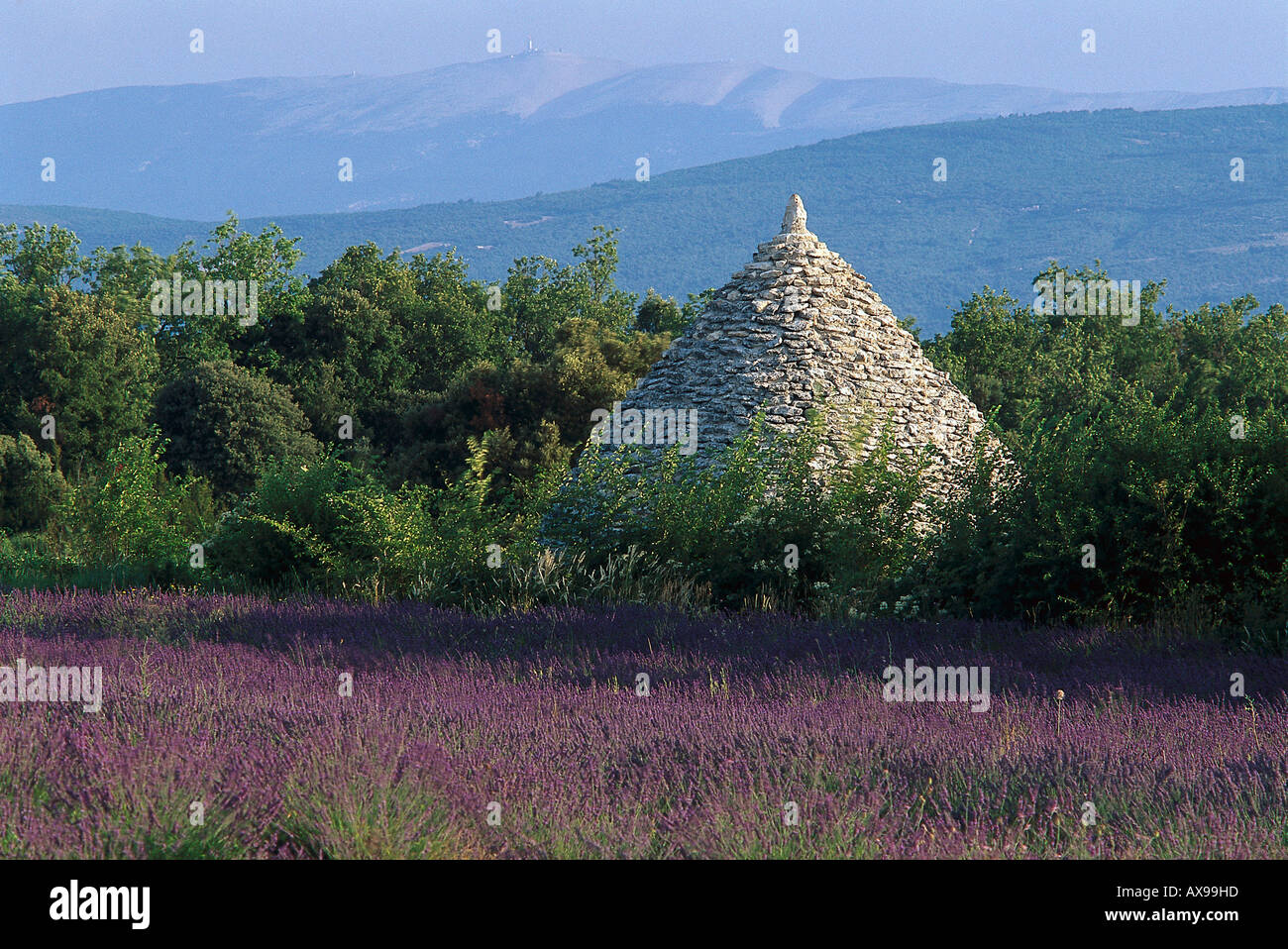 Borie Stone Hütte, Luberon Bergen Provence, Frankreich Stockfoto