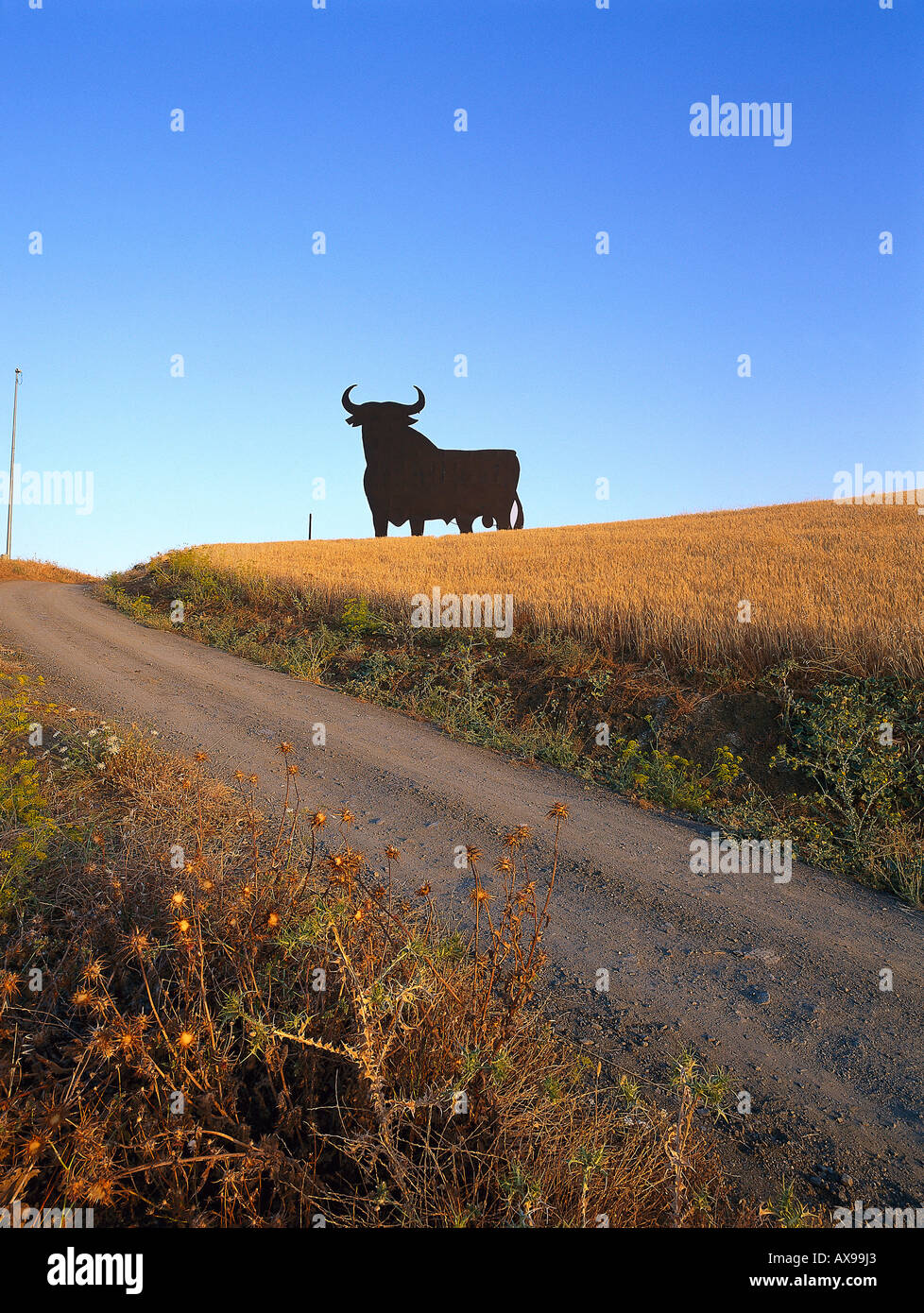 Osborne Stier, inoffizielles Nationalsymbol Spaniens Sehenswürdigkeiten Public domain seit 1994, Provinz Malaga, Andalusien, Spanien Stockfoto