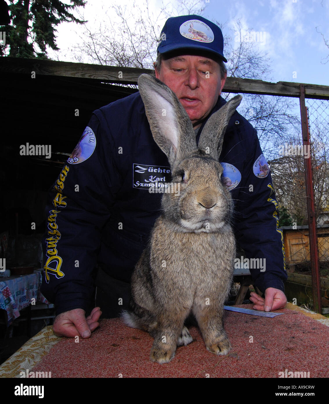 Deutsche Kaninchen Züchter Karl Szmolinsky mit seinem Riesen-Kaninchen Stockfoto