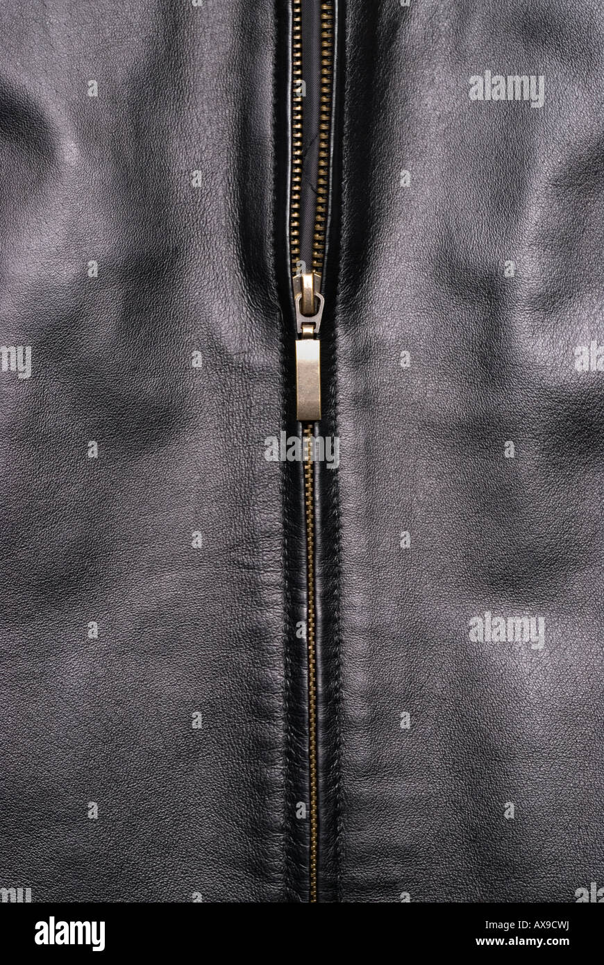 Gold leather jacket -Fotos und -Bildmaterial in hoher Auflösung – Alamy