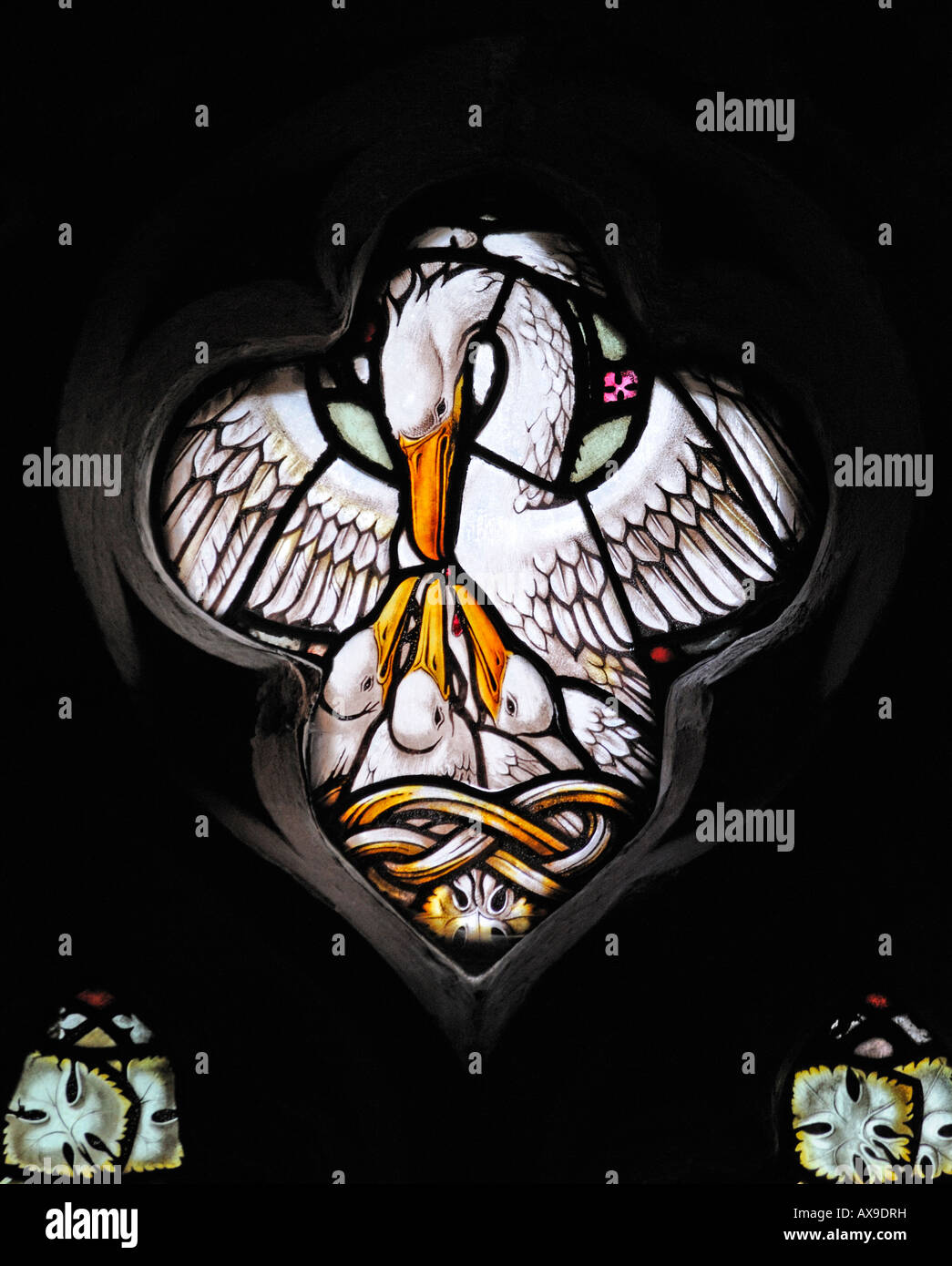 Pelikan Fütterung jung, Detail aus Süden Kirchenschiff Fenster. Kirche der Hl. Maria und Hl. Michael, große Urswick, Cumbria, England. Stockfoto