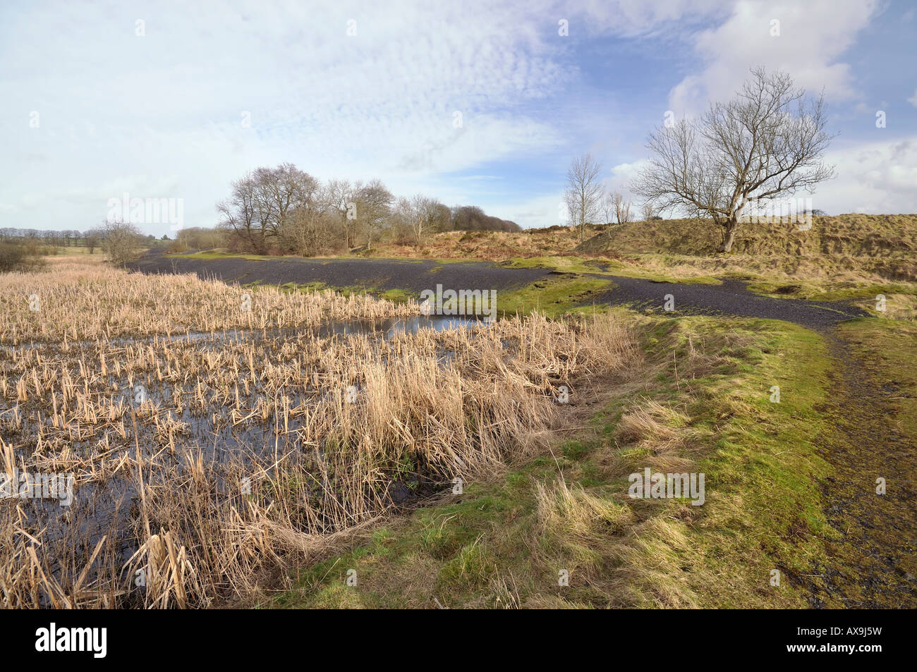 Blei-Bergbau Schlacke Haufen an Charterhouse Mendip Hills Somerset Stockfoto