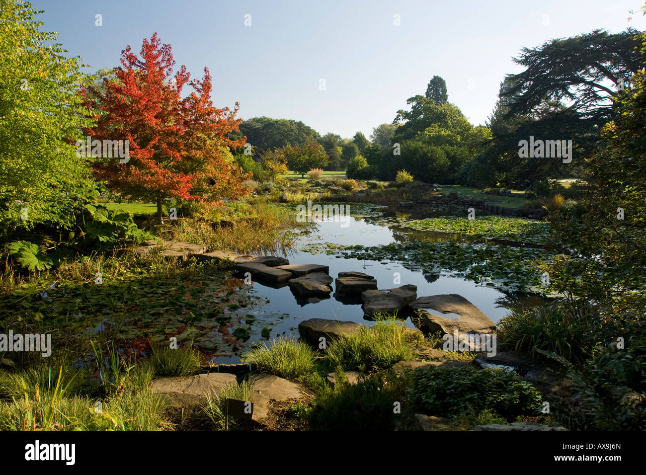 Cambridge University Botanic Garden in der Herbstsonne Stockfoto