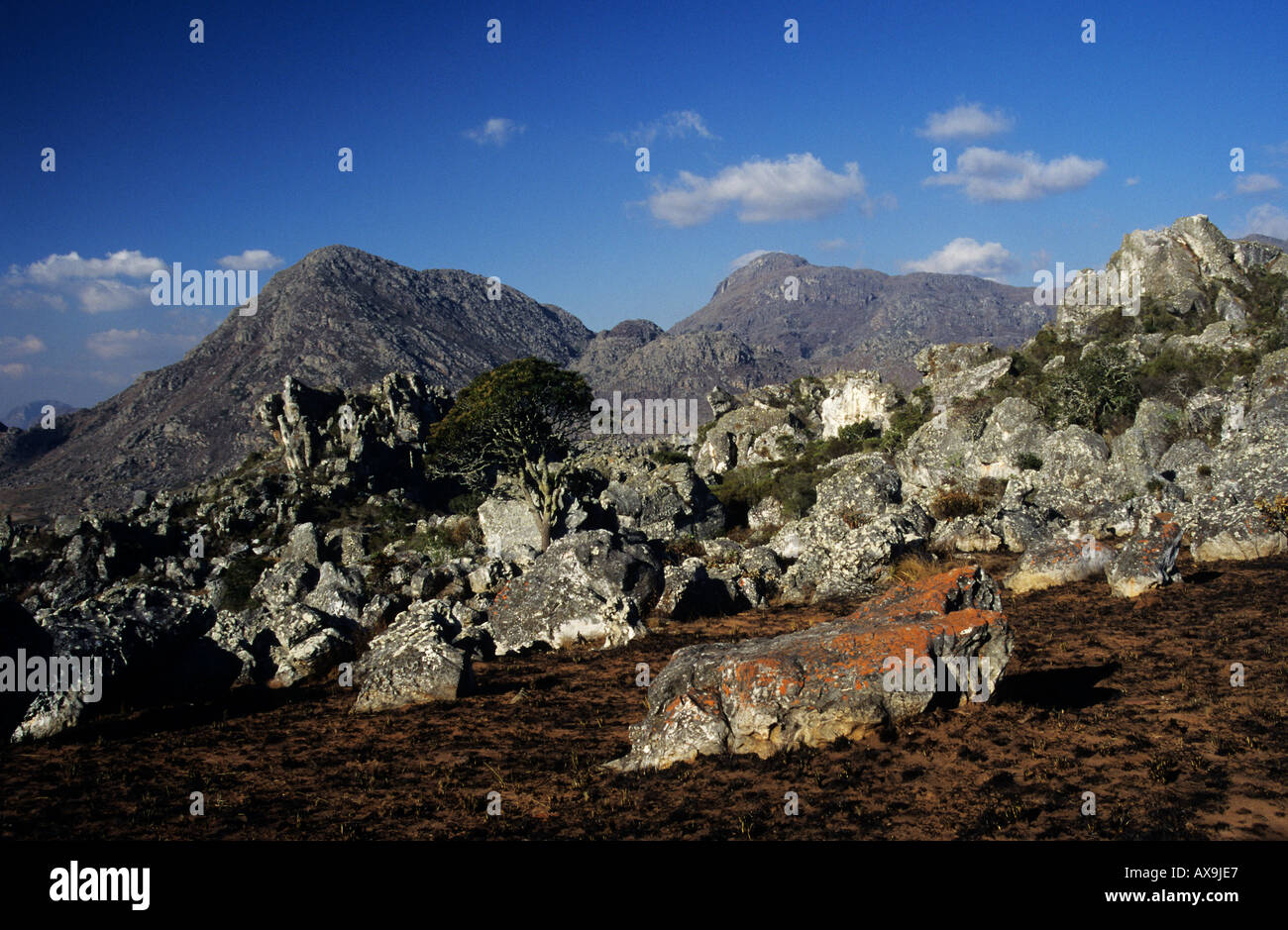 Felsige Landschaft der Quarzit-Findlinge in Chimanimani Bergen Simbabwe Afrika Stockfoto
