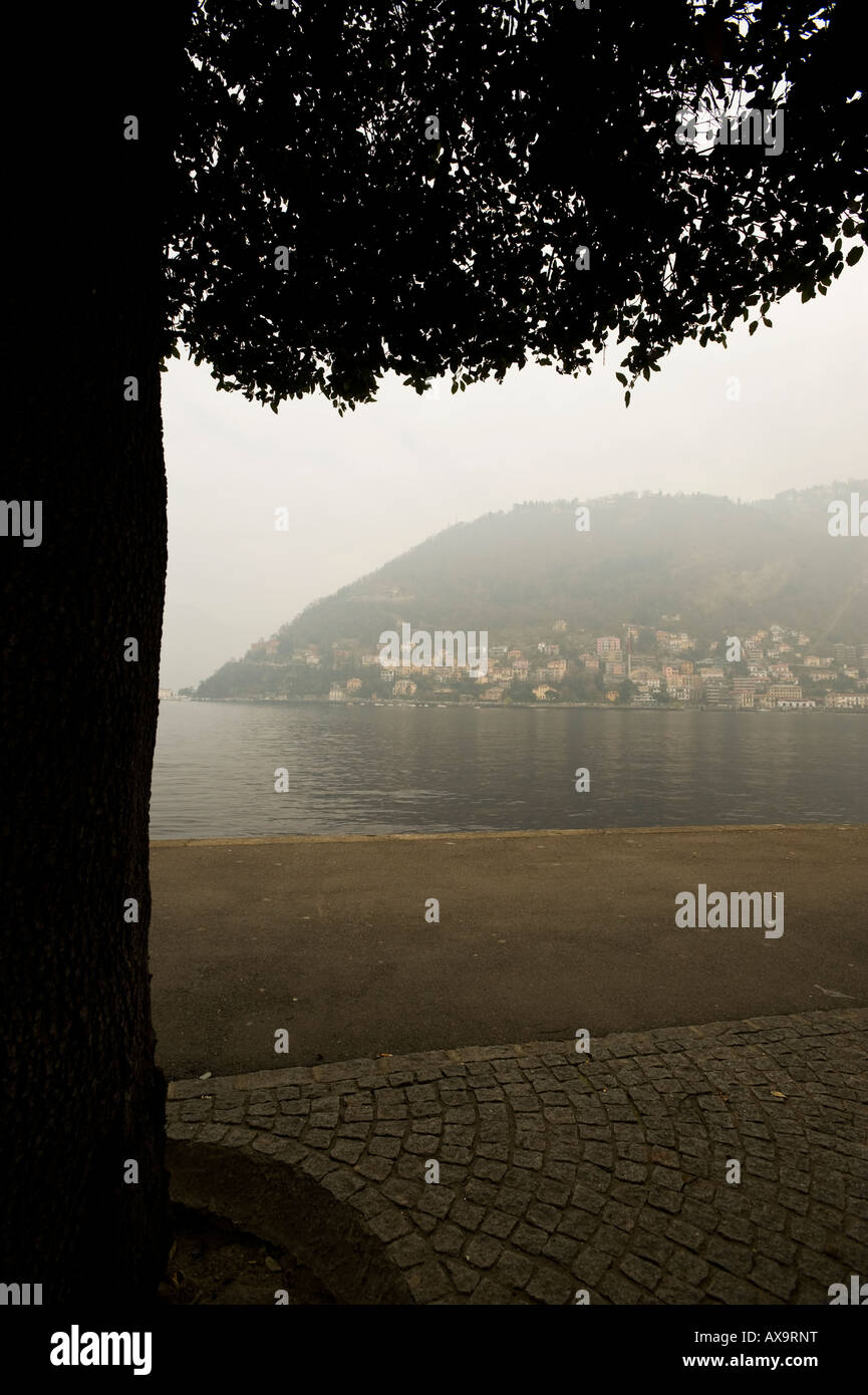 EIN GEPFLEGTER BAUM STEHT IM VORDERGRUND MIT COMER SEE HÄUSER IN DER FERNE COMO ITALIEN Stockfoto