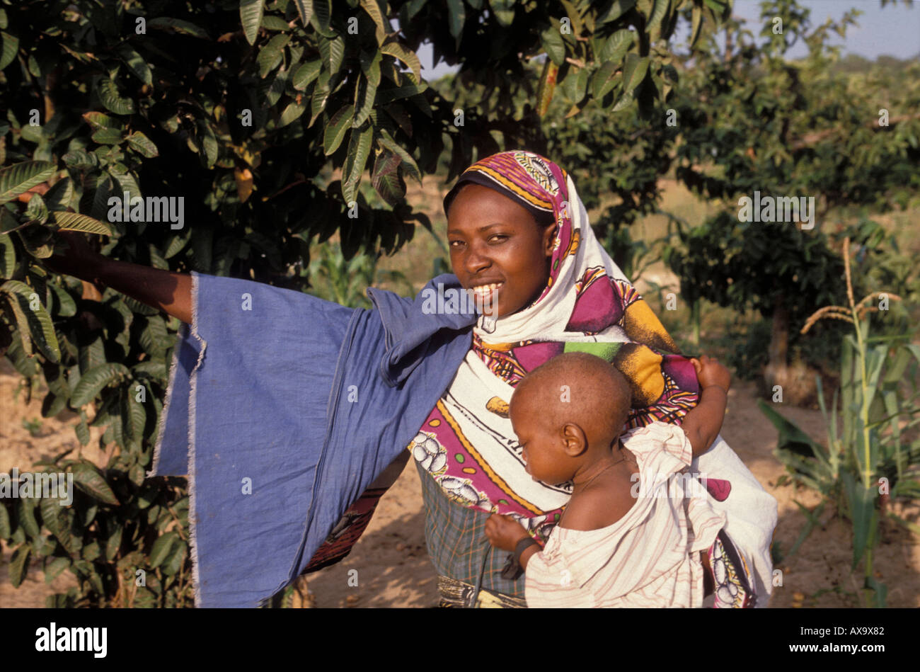 Mutter mit Kind unter einem Obstbaum Guave (Mapera in Kiswahili) in Tansania Stockfoto