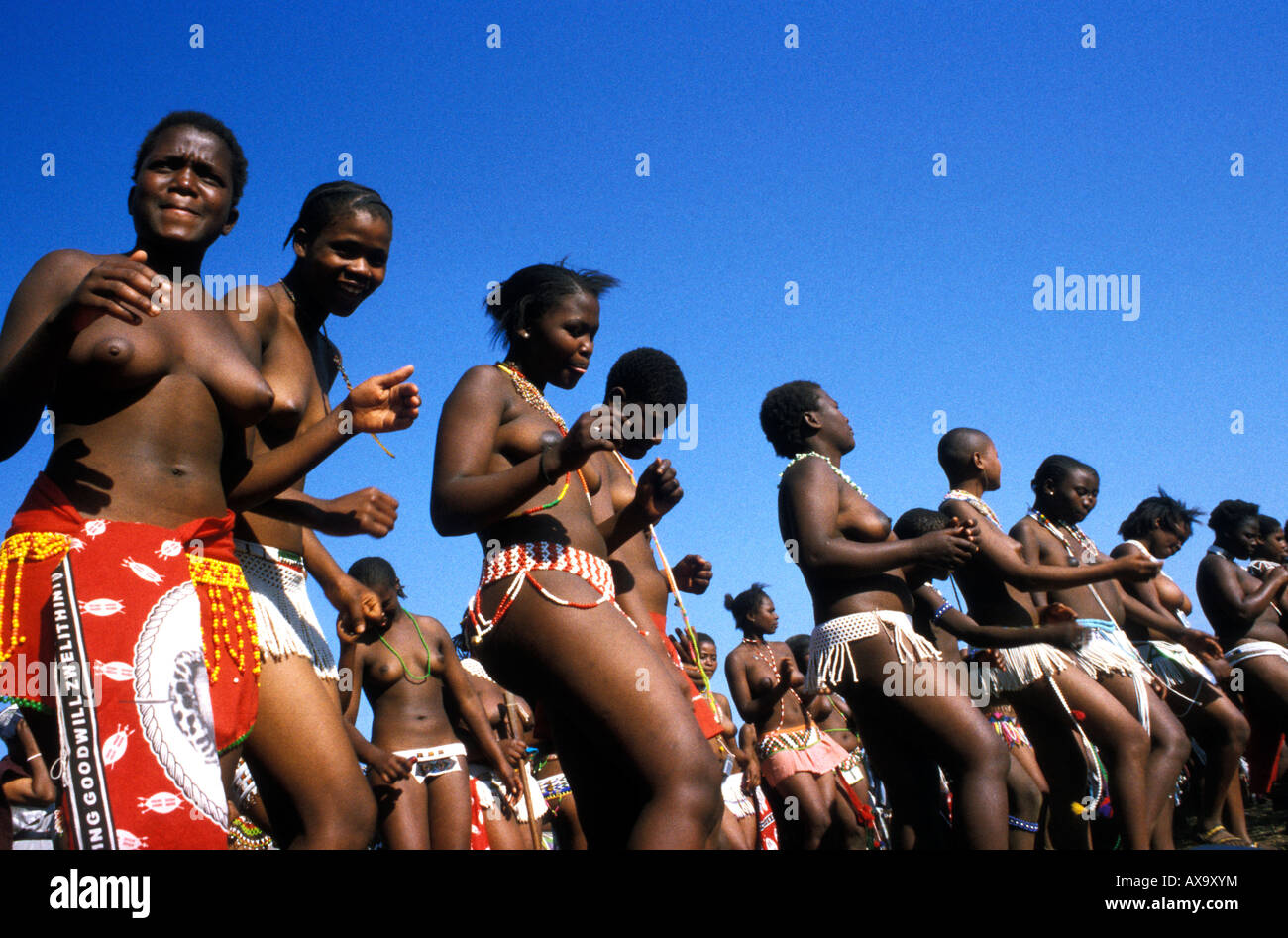 Tänzerinnen im Reed Dance Zeremonie Kwa Zulu natal South Africa Stockfoto