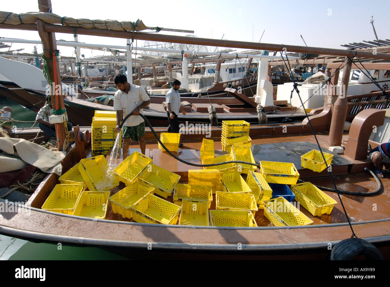 Daus im Hafen des Fischerdorfes Al Khor in Katar. Stockfoto