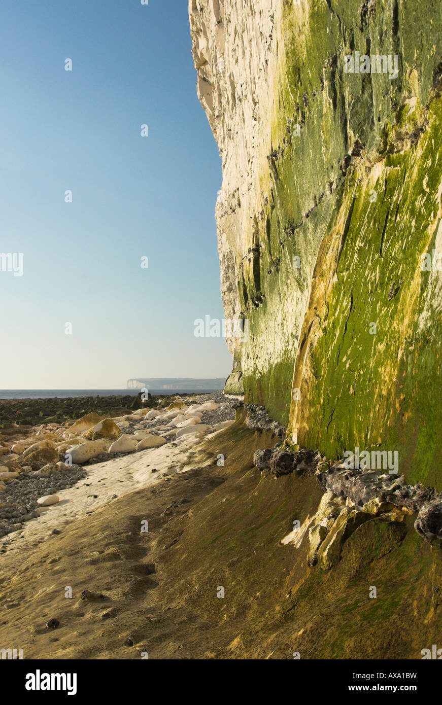 Weissen Sie Felsen und grün - Birling Gap, East Sussex. Stockfoto