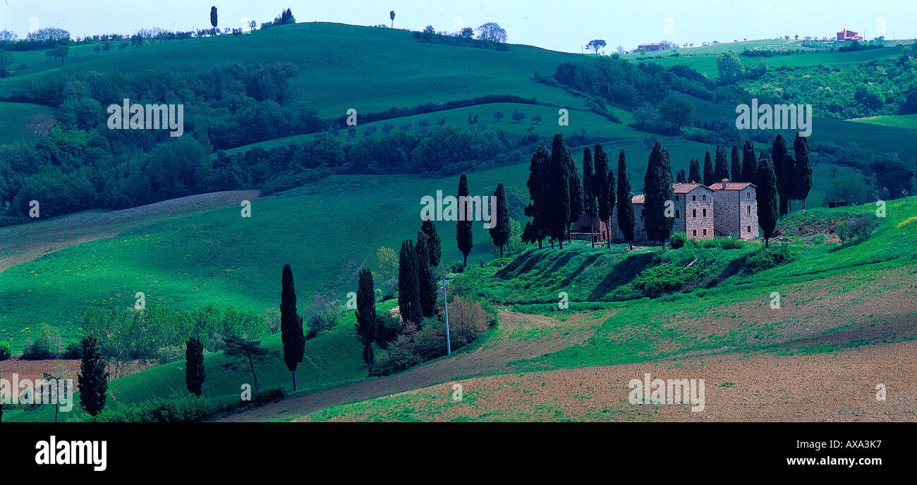 Landhaus Mit Zypressen, Bei Torrita di Siena Toskana Italien Stockfoto