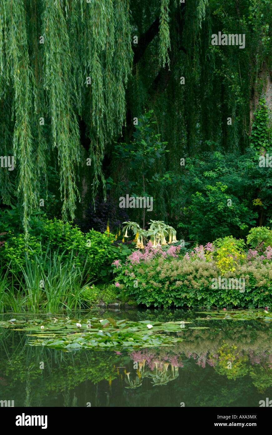 Wasser-Garten/Wasser Seerosenteich in Monets Haus und Garten, Giverny, Frankreich Stockfoto