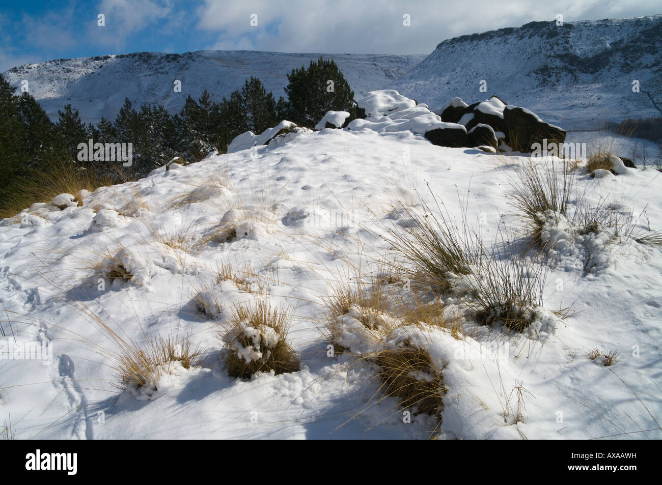 Gräser und Schnee mit Pennine Hills hinter Stockfoto