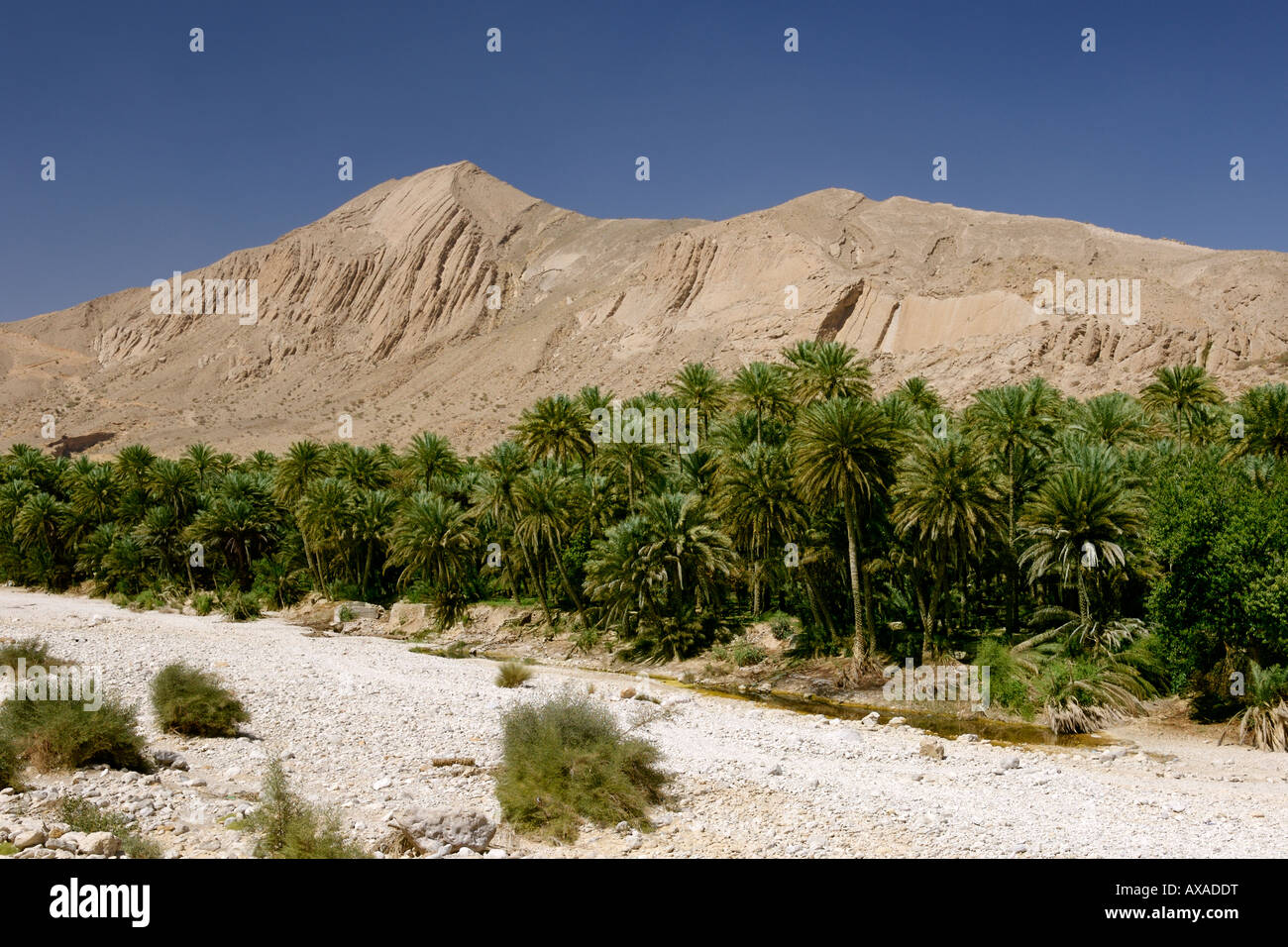 Ansicht des Wadi Bani Khalid in der östlichen Hajar-Gebirge (Al Hajar-Ash-Sharqi) in das Sultanat Oman. Stockfoto