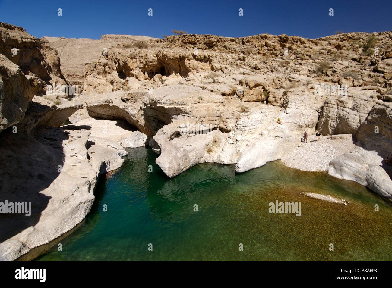 Die türkisfarbene Pools von Wadi Bani Khalid in der östlichen Hajar-Gebirge (Al Hajar-Ash-Sharqi) in das Sultanat Oman. Stockfoto