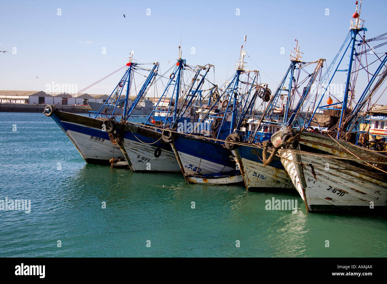 Agadir Fischerhafen, Marokko, Nord-West-Afrika. Blaue Angelboote/Fischerboote im Hafen. Petit Port de peche Stockfoto