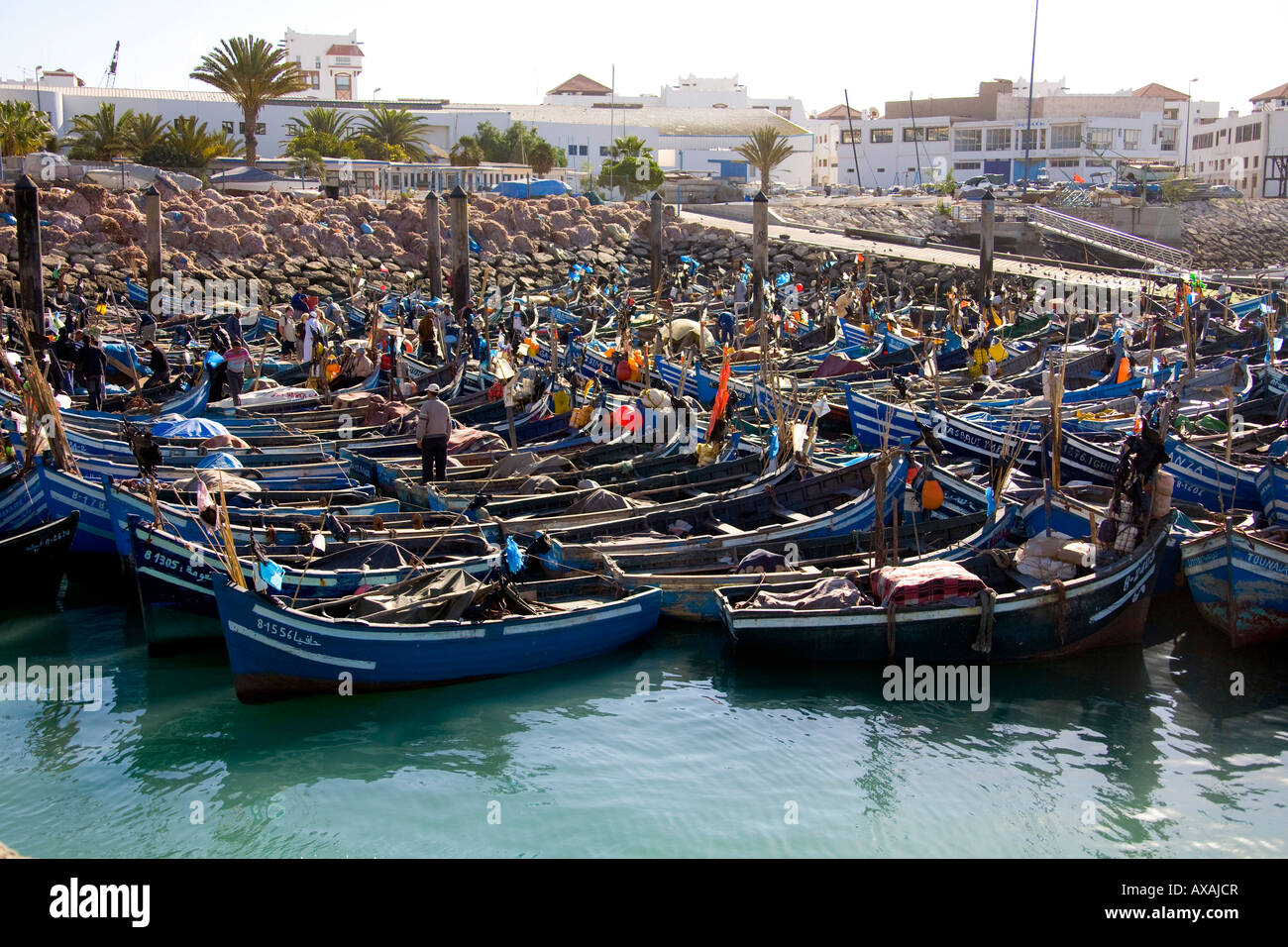 Agadir Fischerhafen, Marokko, Nord-West-Afrika. Blaue Angelboote/Fischerboote im Hafen. Petit Port de peche Stockfoto