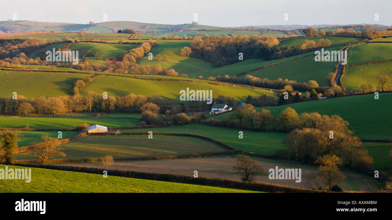 Rollende Feldern in der Nähe des Dorfes Woolfardisworthy in der Landschaft von Devonshire Stockfoto
