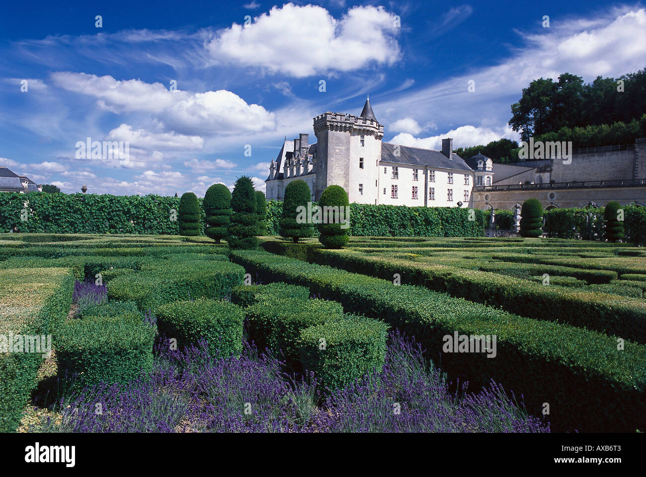 Garten der Liebe, Villandry Schloss, Schloss Villandry, Villandry, Indre et Loire, Frankreich Stockfoto