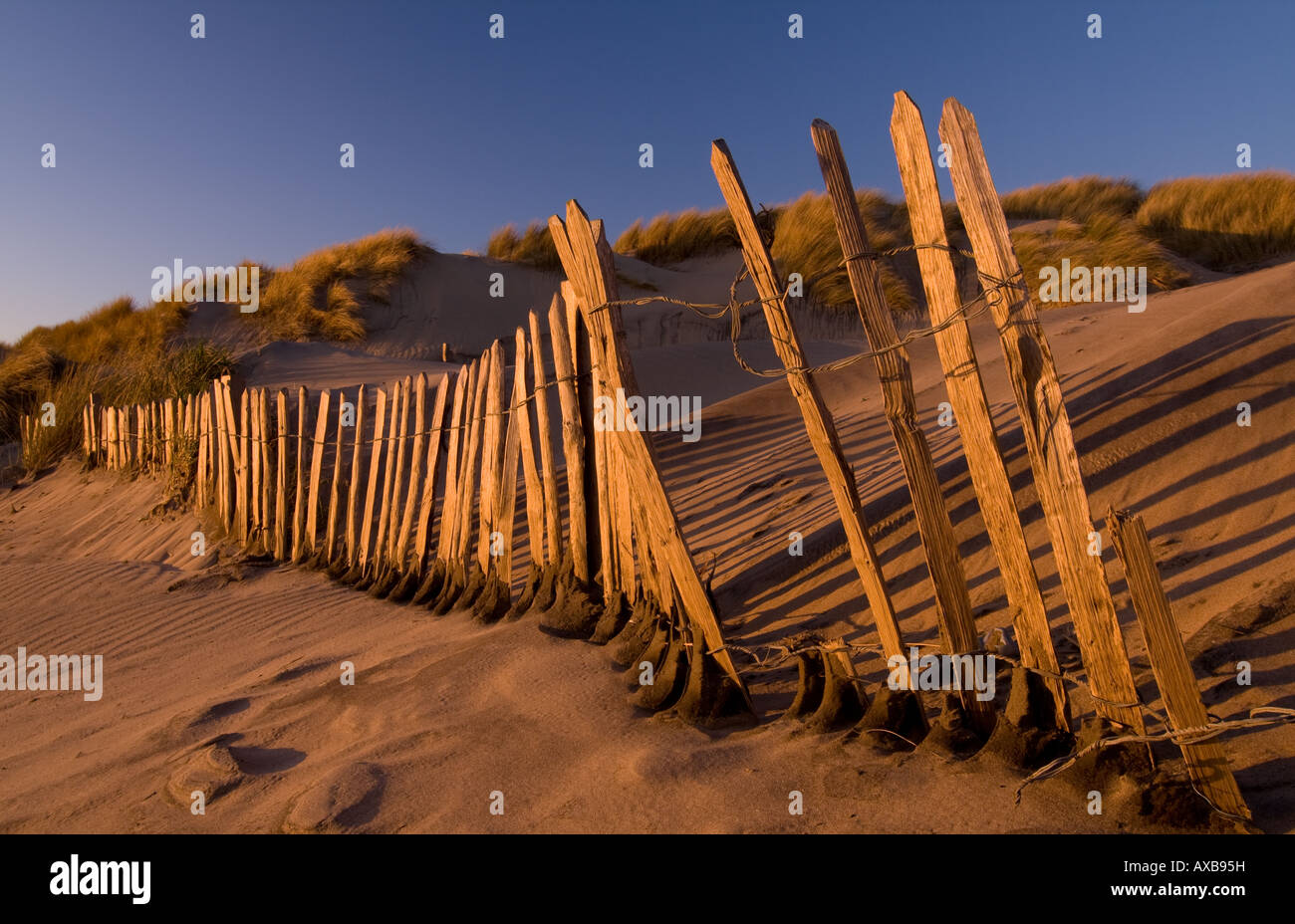 Camber Sands Dünen in der Abenddämmerung Stockfoto