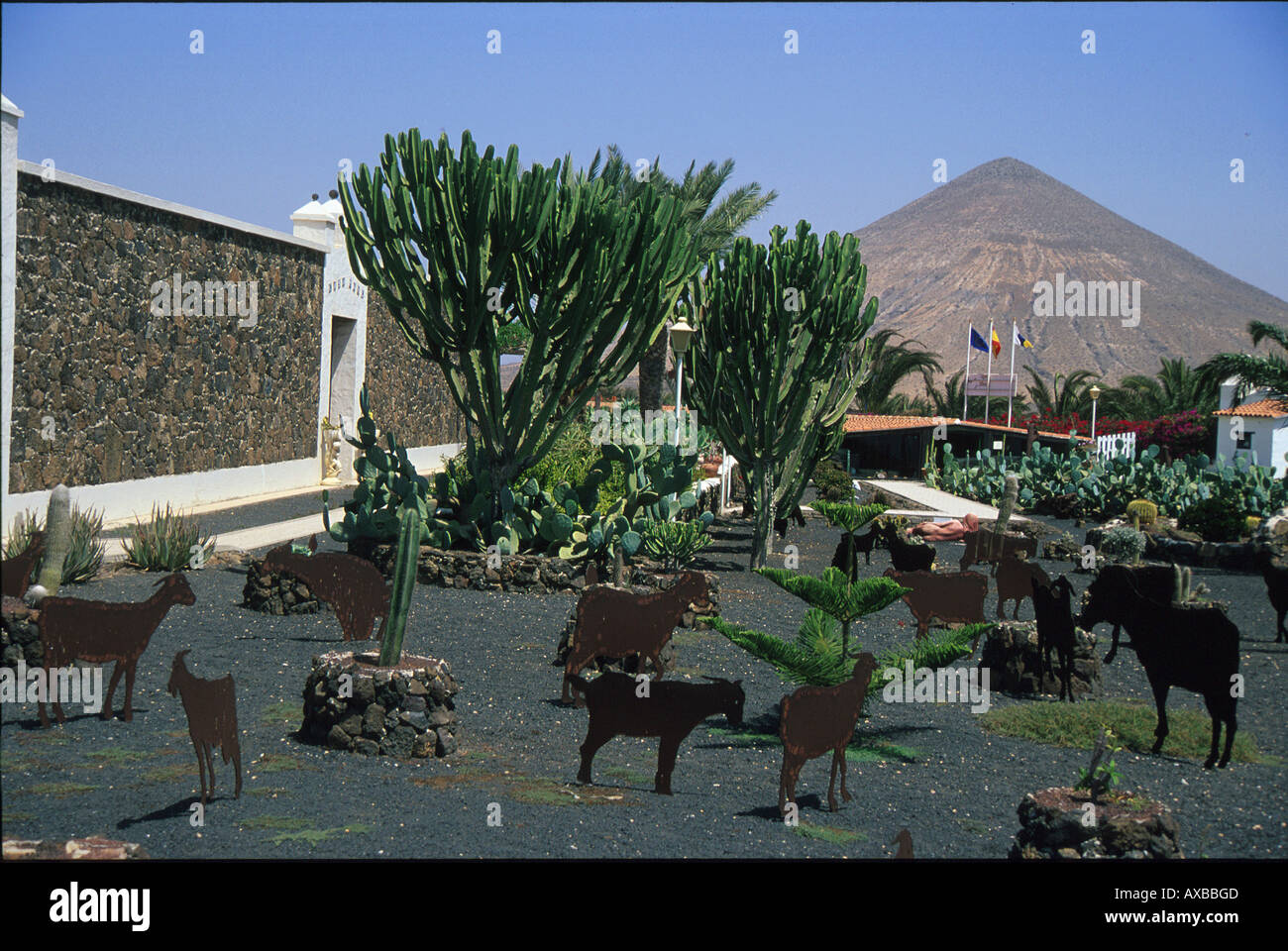 Centro de Arte Canaria, La Oliva, Fuerteventura, Kanaren Spanien, Europa Stockfoto