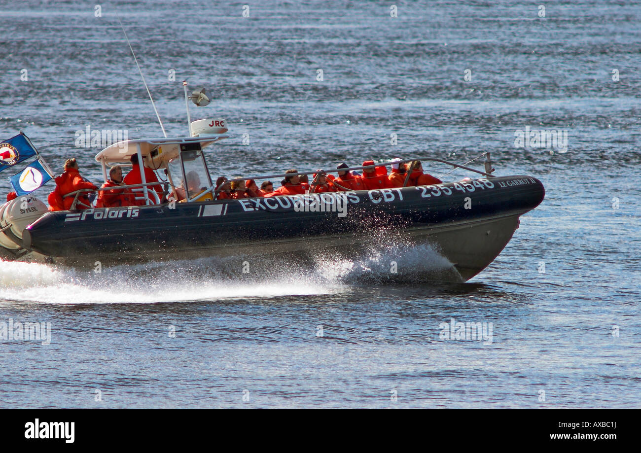 Touristen auf einem pneumatischen Boot von "Ausflüge CBT" gehen auf eine Whale watching Kreuzfahrt am St.-Lorenz-Strom in Tadoussac Stockfoto