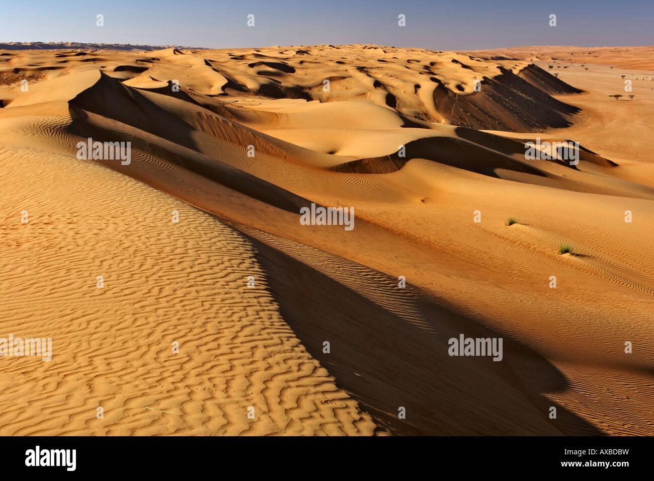 Die Dünen der Wahiba Sands (Ramlat al Wahaybah) in Oman. Stockfoto