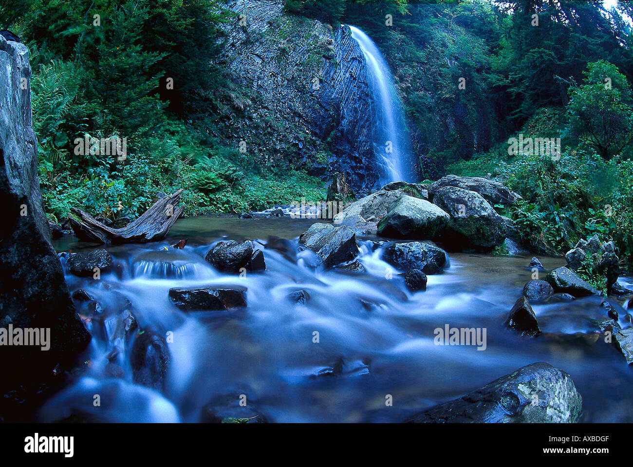 Wasserfall am idyllischen Landschaft, Le Mont Dore, Auvergne, Frankreich, Europa Stockfoto