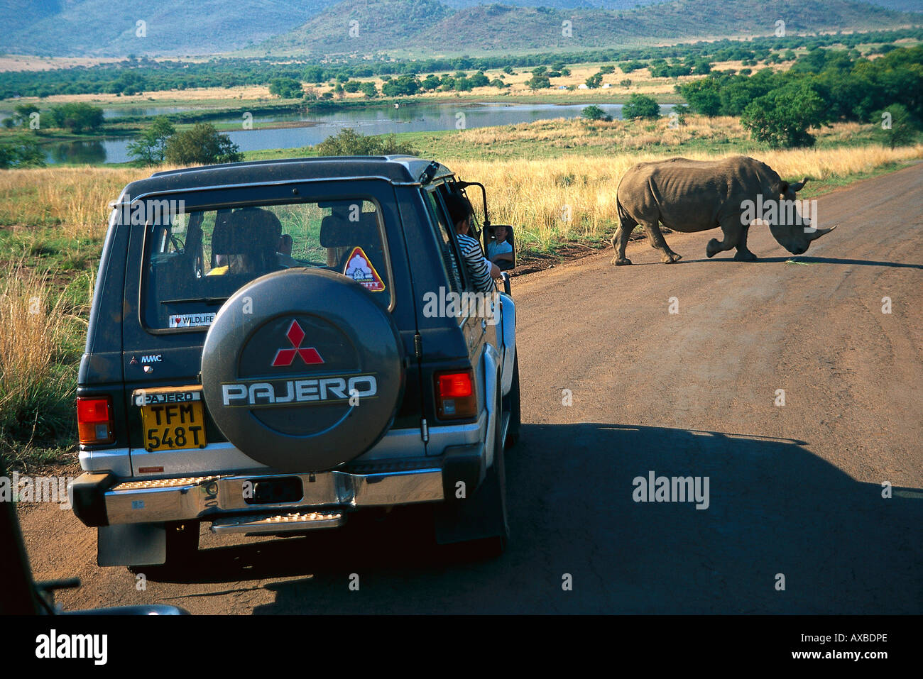 Menschen bei einem Jeep Blick auf ein Nashorn, Pilanesberg National Park, Mpamalanga, Südafrika, Afrika Stockfoto