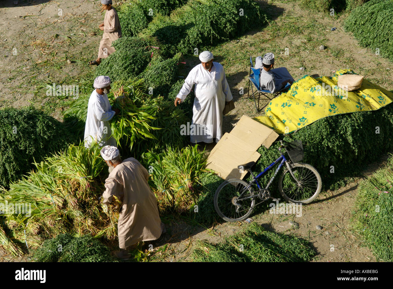 Futter für den Verkauf in der Outdoor-Souk in Nizwa im Sultanat Oman. Stockfoto