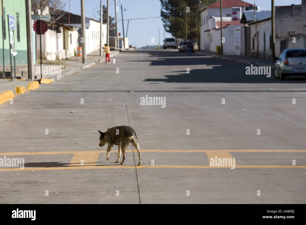 Carichi Mexiko Straßenszene in den frühen Morgenstunden in Carichi Staat Chihuahua Stockfoto