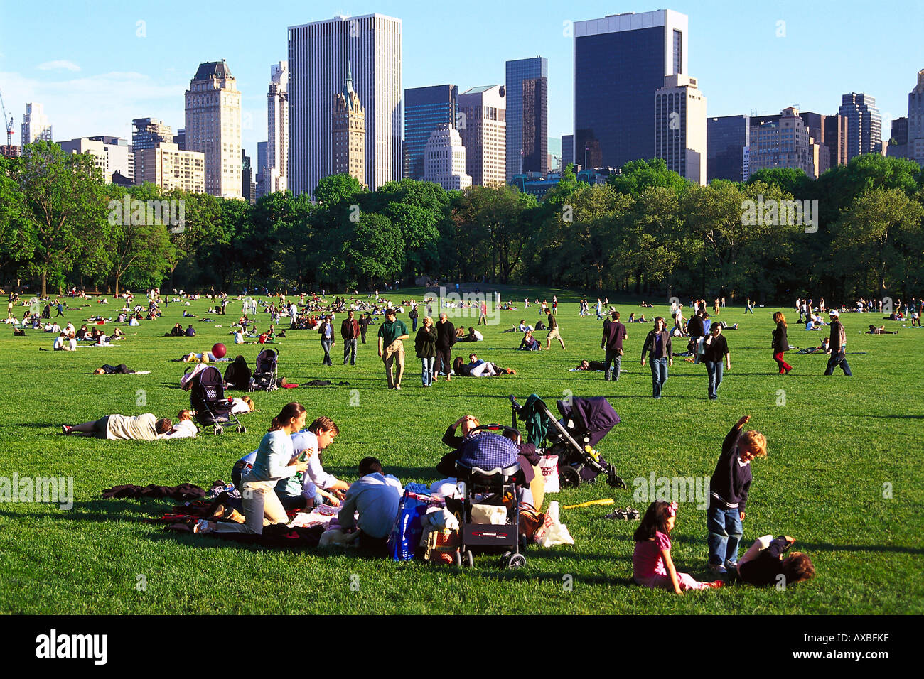Menschen auf dem Rasen in der Sonne, Central Park, New York, USA, Amerika Stockfoto