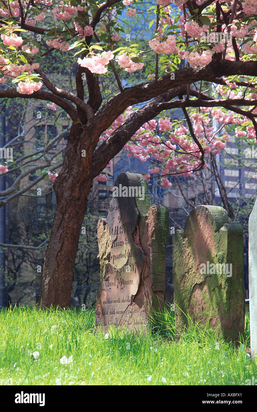 Grabmalkunst Grabdenkmäler unter blühenden Baum, Manhattan, New York, USA, Amerika Stockfoto