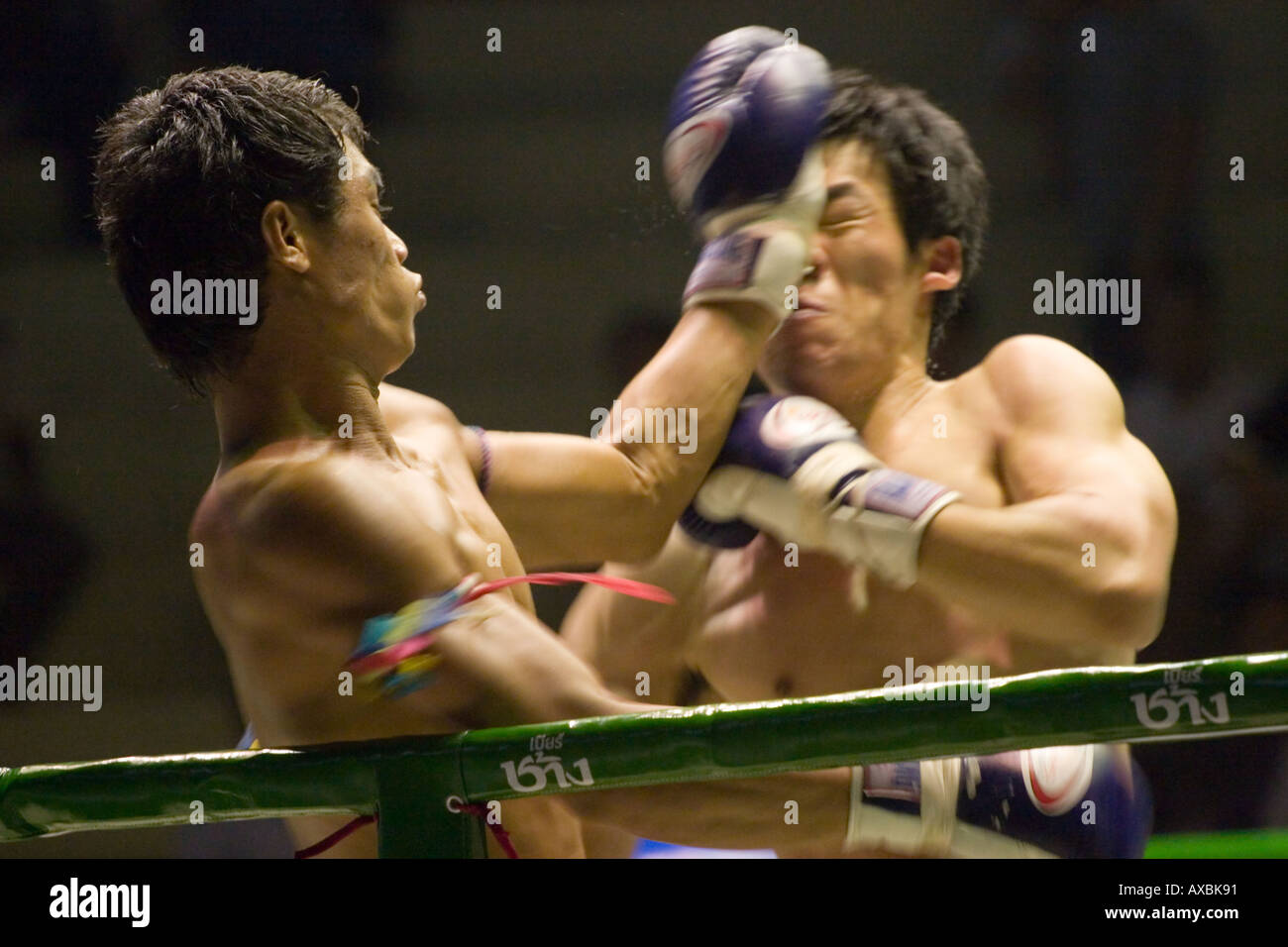 Muay Thai - Uppercut Stockfoto