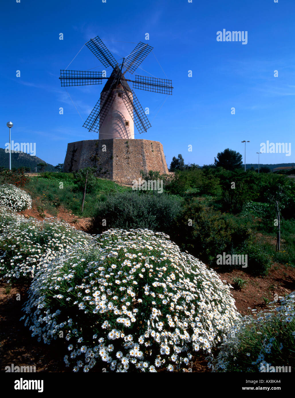 Spanien Mallorca Windmühle Frühling Stockfoto