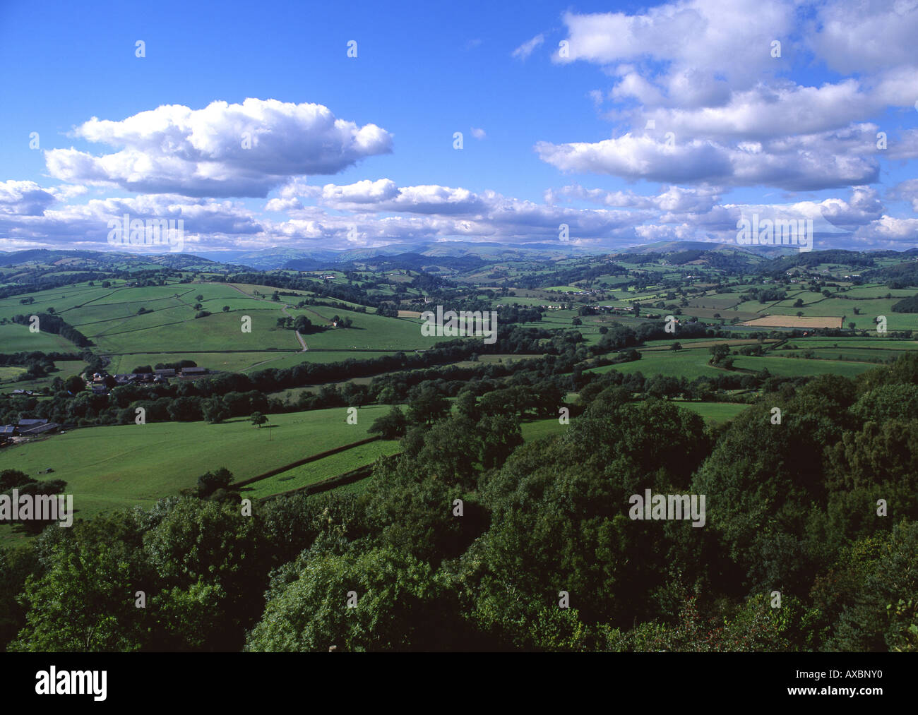 Blick auf Berwyn Berge aus Llanymynech Montgomeryshire Powys Mitte Wales UK Stockfoto