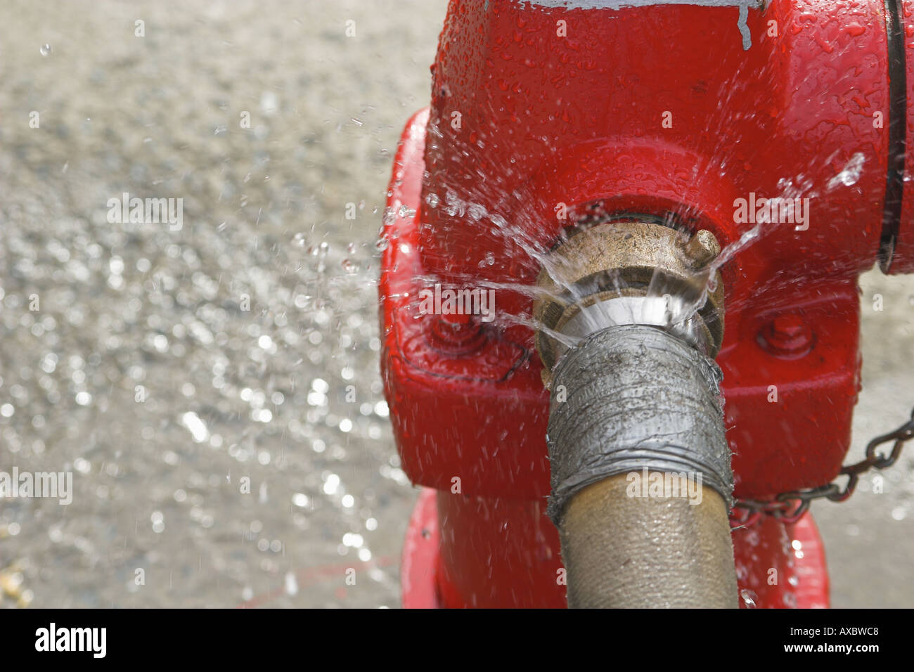 Red Fire Hydrant und Feuer Schlauch befestigt undicht Stockfoto