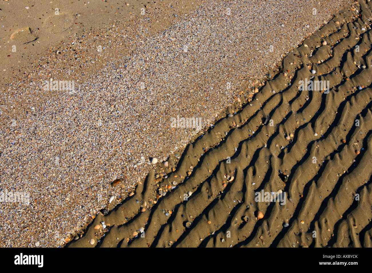 Sandstrand und Welligkeit markiert, Deutschland, Niedersachsen, Wangerooge Stockfoto