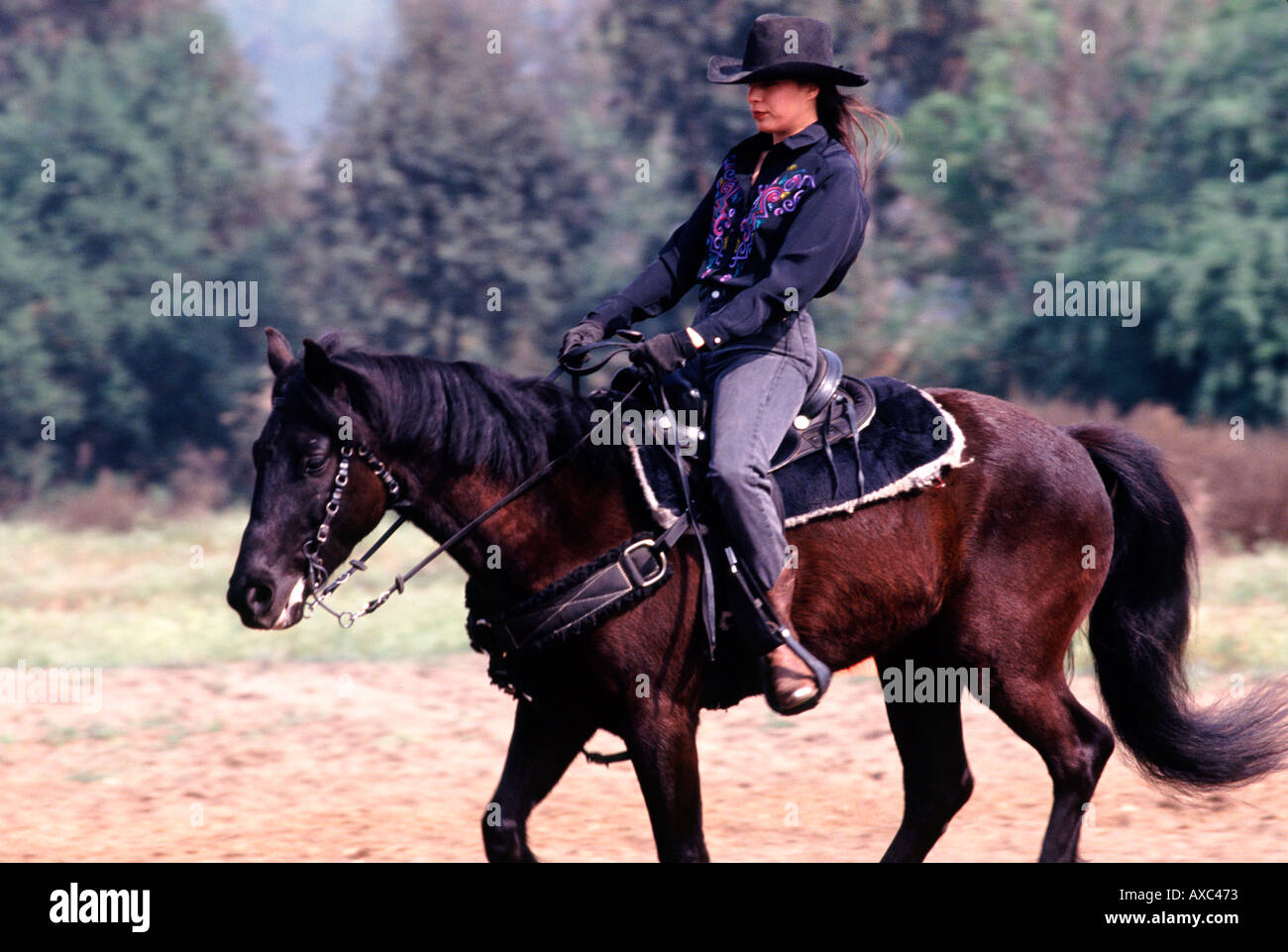 Weibliches Model Westernstil auf Mustang Pferd Reiten Stockfoto