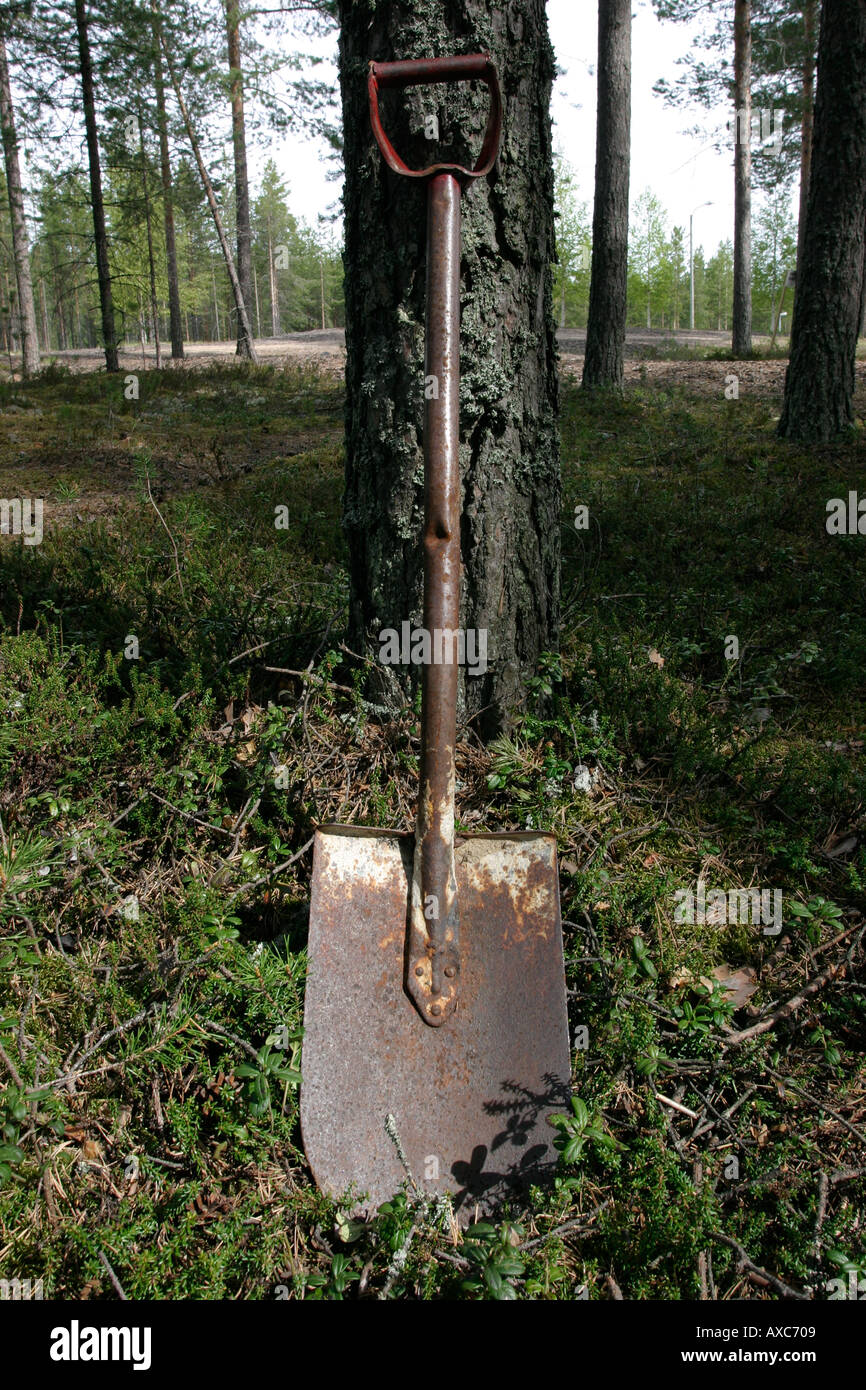 rostige alte Schaufel stützte sich auf Baum Stockfoto