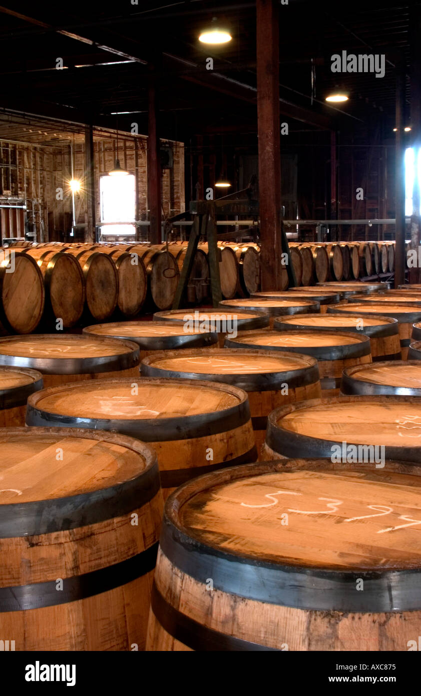 Hunderte von leeren Fässern bereit zum Befüllen mit Kentucky Bourbon Whiskey für das Altern Stockfoto