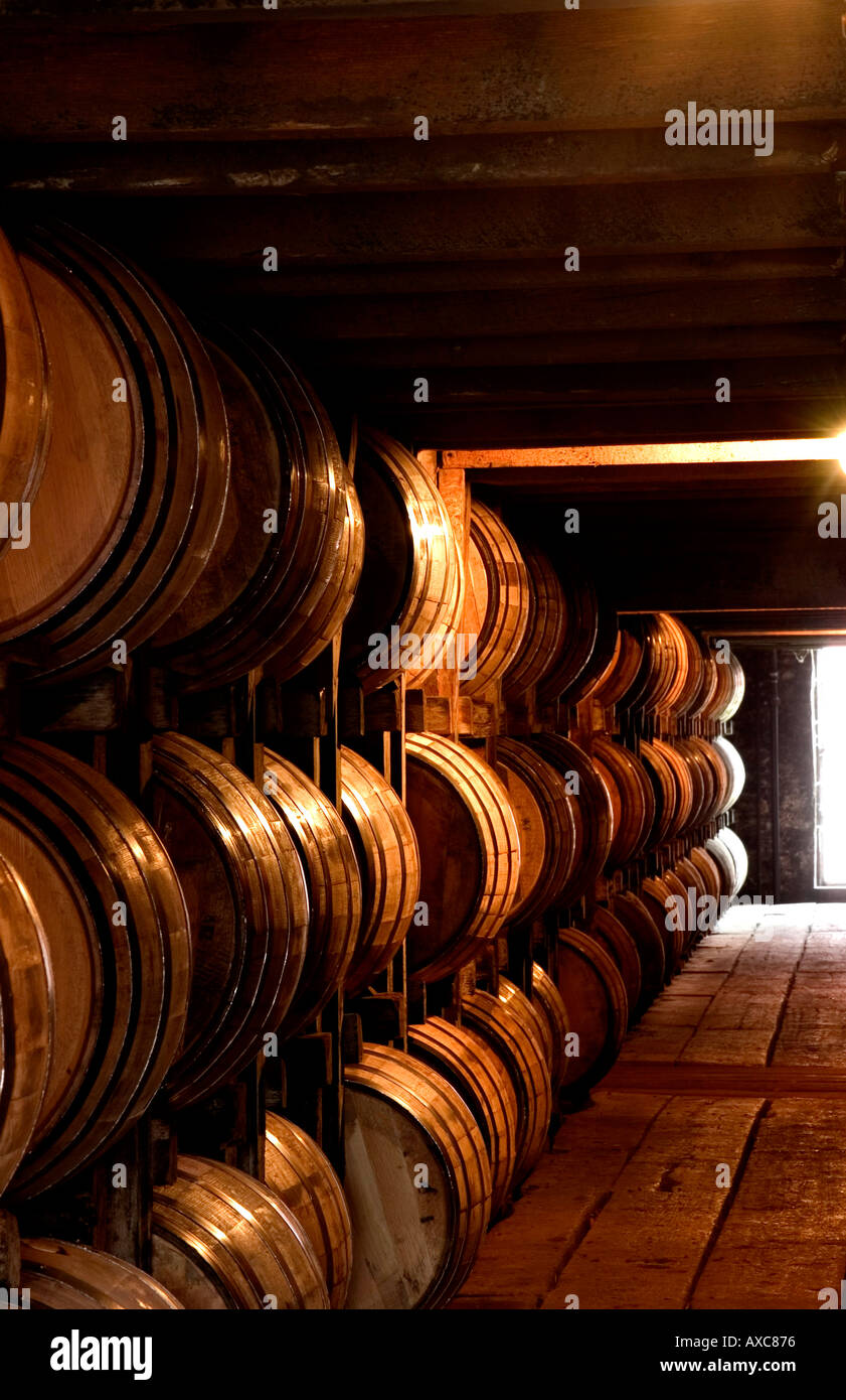Tausende von Fässern von Kentucky Bourbon Whisky Reifung in Eichenfässern in Lagerhalle Stockfoto