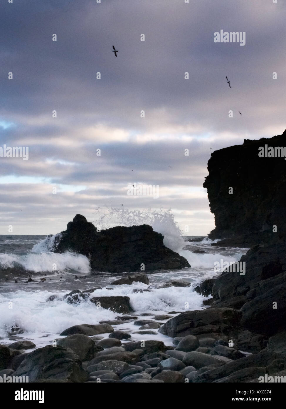 Breakers Sumburgh Shetlandinseln Stockfoto