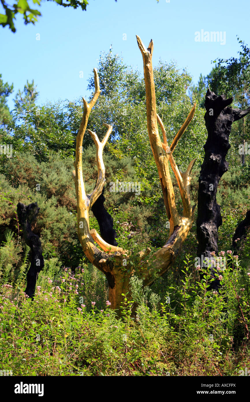 Golden Tree (Arbre d'Or von Francois Davin) in Val Sans Retour in Foret de Paimpont, Ille-et-Vilaine, Bretagne, Frankreich Stockfoto