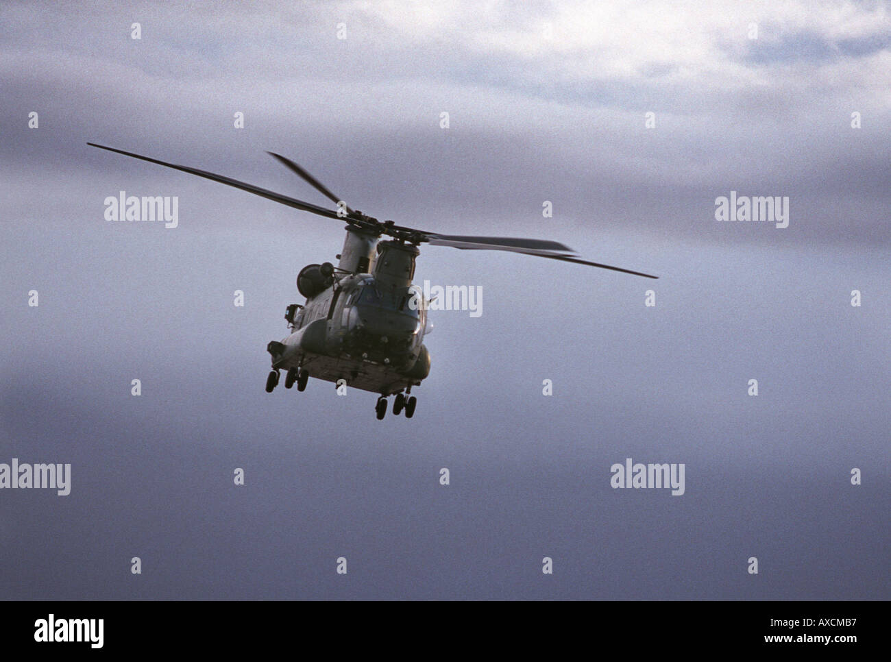 Ein Boeing Chinook-Hubschrauber der 18 Squadron RAF Stockfoto