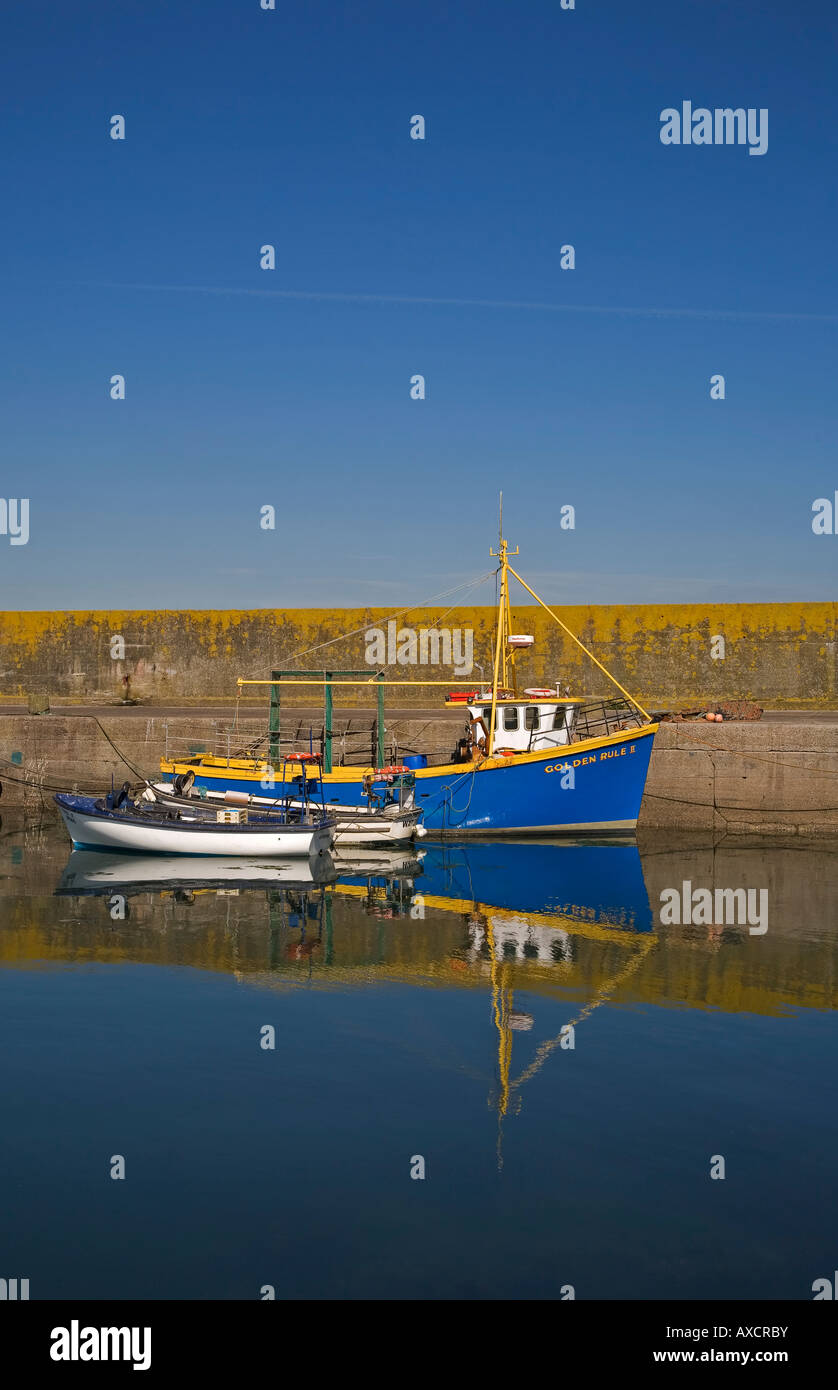 Küstenfischerei Angeln Boot, Helvick Port, Ring - gälischen Sprachraum, Grafschaft Waterford, Irland Stockfoto