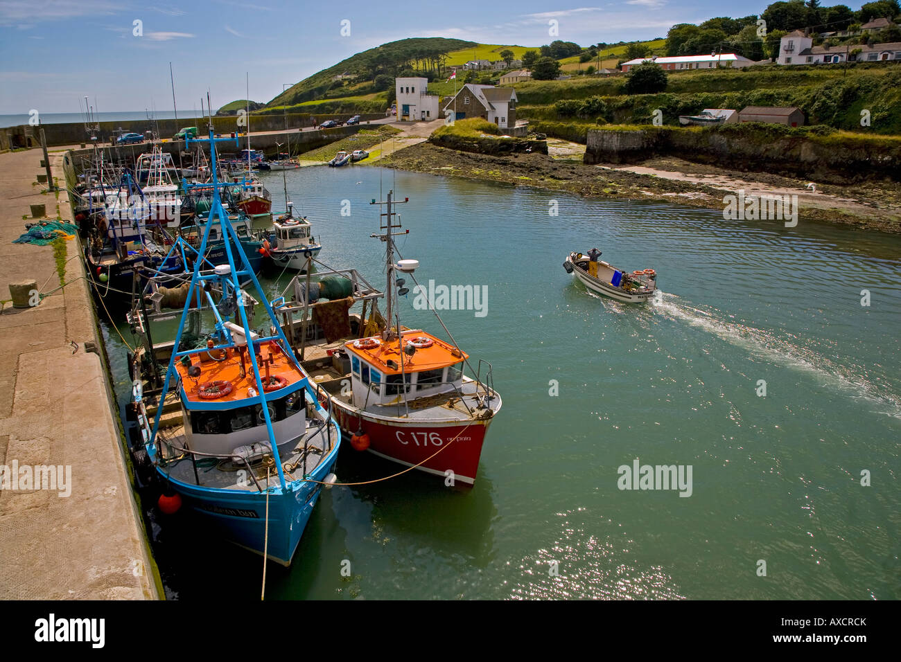 Kleine Fischerboote im Hafen von Helvick ankommen. Ein Ring, der Gaeltacht irische Sprachraum, Grafschaft Waterford, Irland Stockfoto