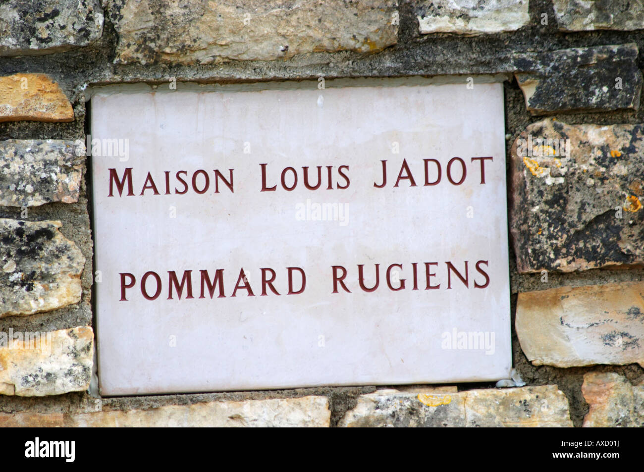 Maison Louis Jadot, Rugiens. Pommard, Côte de Beaune, d ' or, Burgund, Frankreich Stockfoto