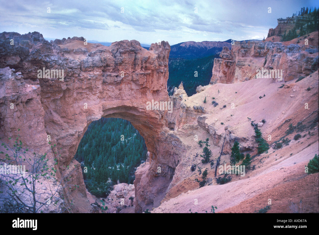 Bryce-Canyon-Nationalpark, Utah, USA Stockfoto