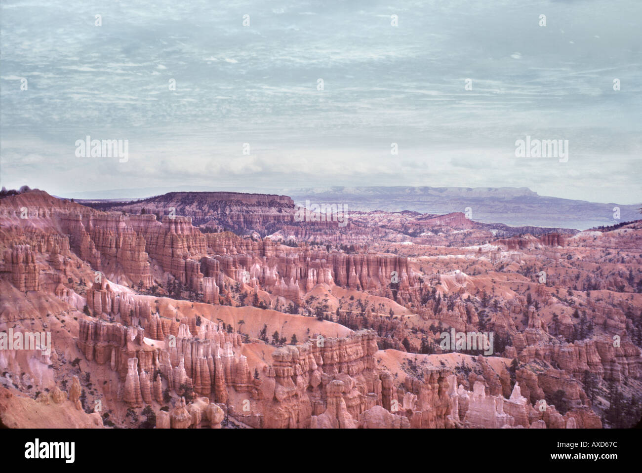 Bryce-Canyon-Nationalpark, Utah, USA Stockfoto